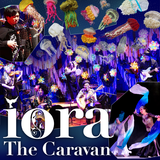 iora The Caravan最新作CD「Medusa」発売記念ライブ『浮遊クラゲの帰還』