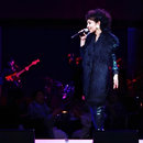 Rockin&rsquo;s Jivin&rsquo;s Swingin&rsquo;s -番外編- "Discotheque Addict"