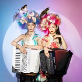 巡〜MeguRee〜11周年記念 LIVE 巡響 -JUNKYO-